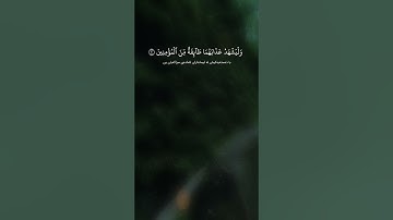 سورة النور (الآية ١ - ٥) القارئ سلمان العتيبي #القرآن_الكريم