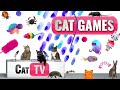 Jeux de chat  compilation ultime de cat tv vol 38  2 heures 