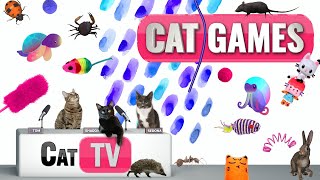 CAT Games | Ultimate Cat TV Compilation Vol 38 | 2 HOURS 🐝🐞🦋🦎🦜🐜🐭🧵 screenshot 3