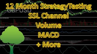 Strategy test - SSL Channel + Volume + MACD