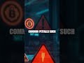 Anchor Points for Prudent Crypto Investments
