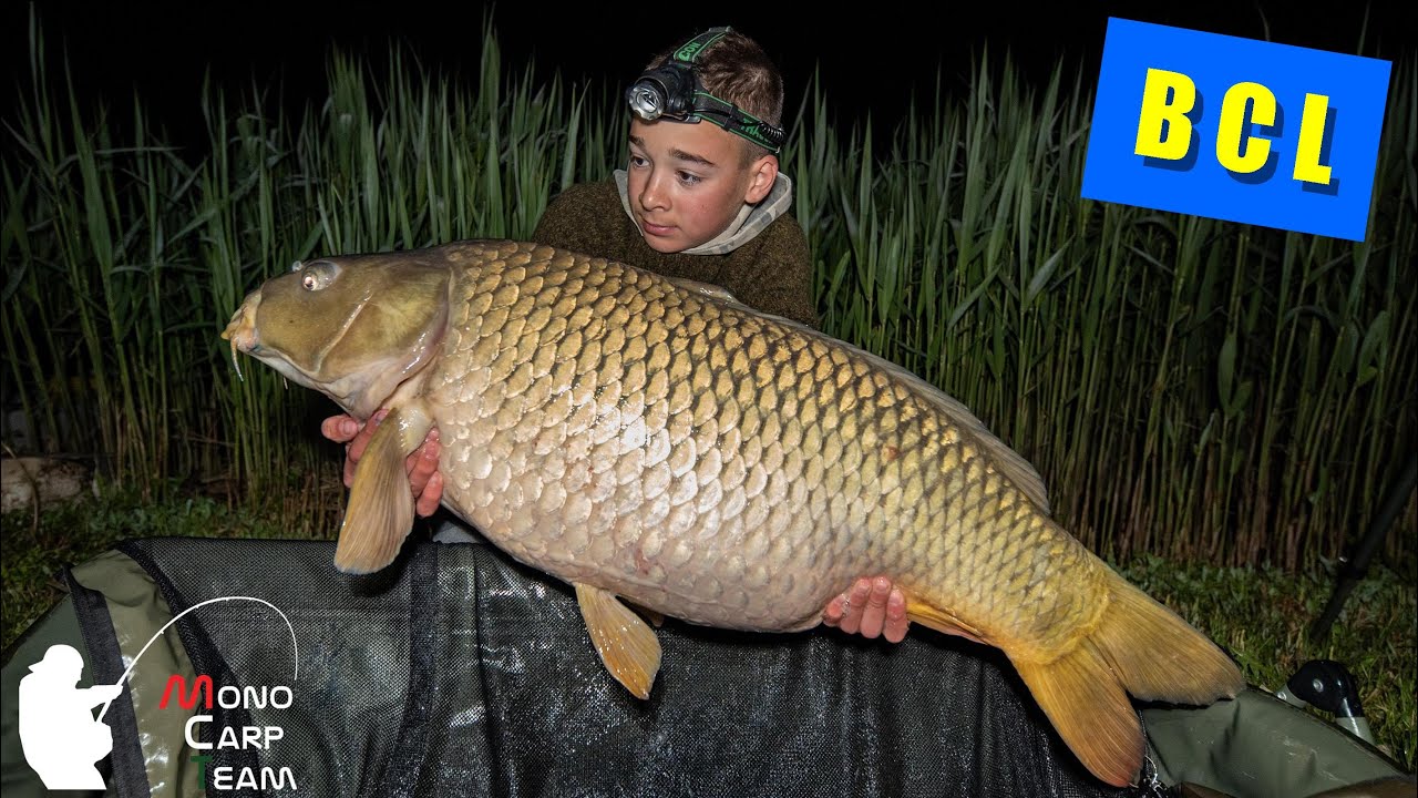 Bojli vs PVA Bag / Battyán Carp Lake 2021 (Mono Carp Team)
