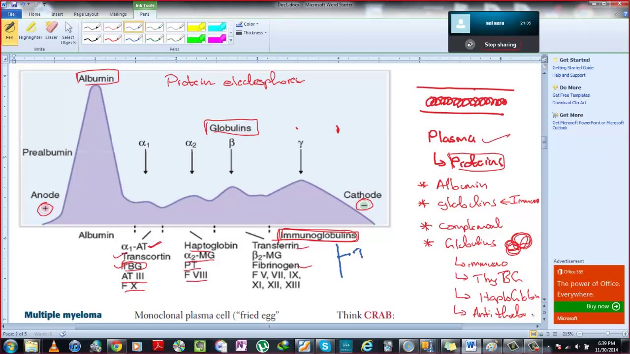 serum protein electrophoresis youtube serum electophoresis