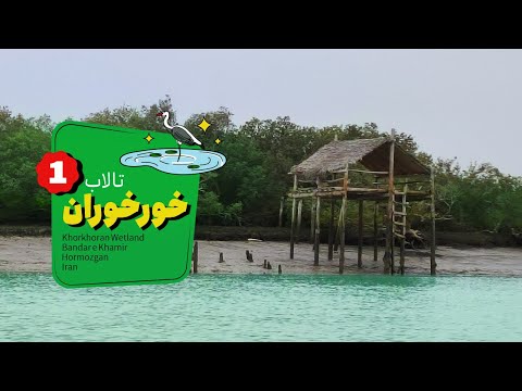 تالاب خورخوران در خلیج فارس           