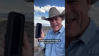Cowboy Max Uses Barn Owl