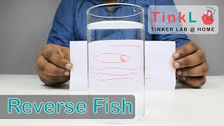 Reverse Fish | Junior Tinker Lab At Home | New