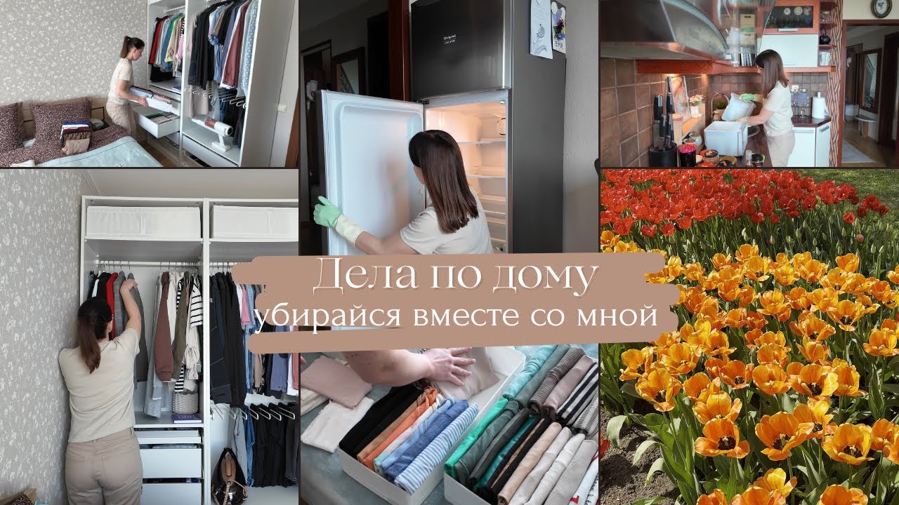 Дела по дому// Мою холодильник// Разбираю гардероб// Разговор по душам// Лишний вес