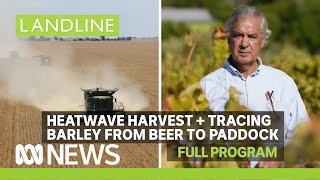 Heatwave harvest for WA wine grape growers + tracing barley in beer | Landline