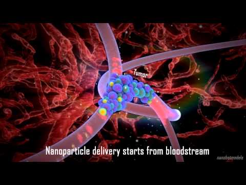 Nanoparticle drug delivery in cancer therapy