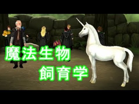 ハリー ポッター 411魔法生物飼育学のふくろう試験 Youtube ハリー ポッター 411魔法生物飼育学のふくろう試験 Youtube