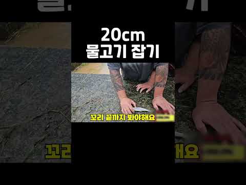 [여포] <strong>20cm</strong> 물고기 잡기! #shorts