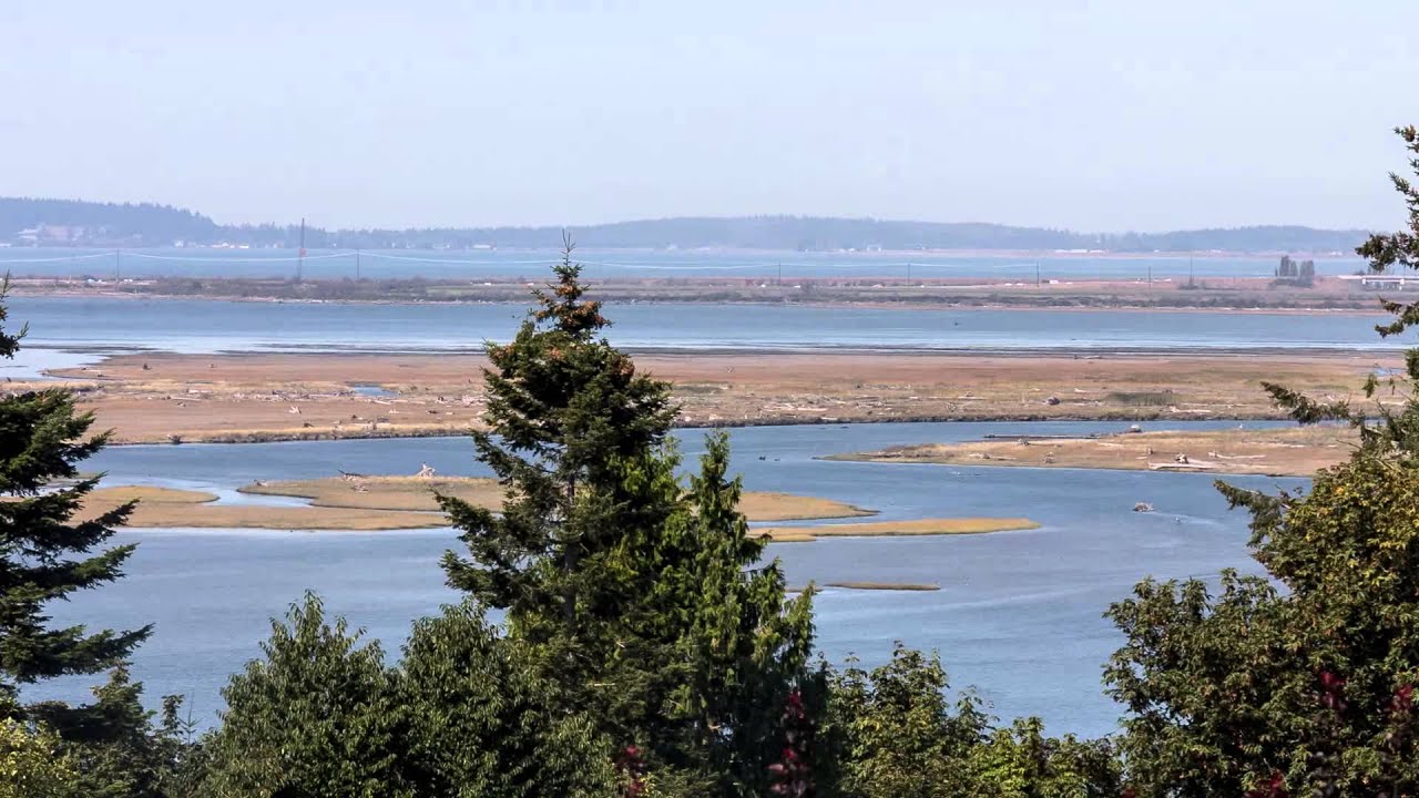 Port Susan Tidal flats, Sept 15 2014