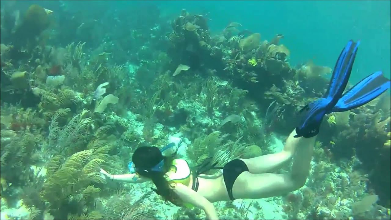 Snorkeling Key Largo YouTube