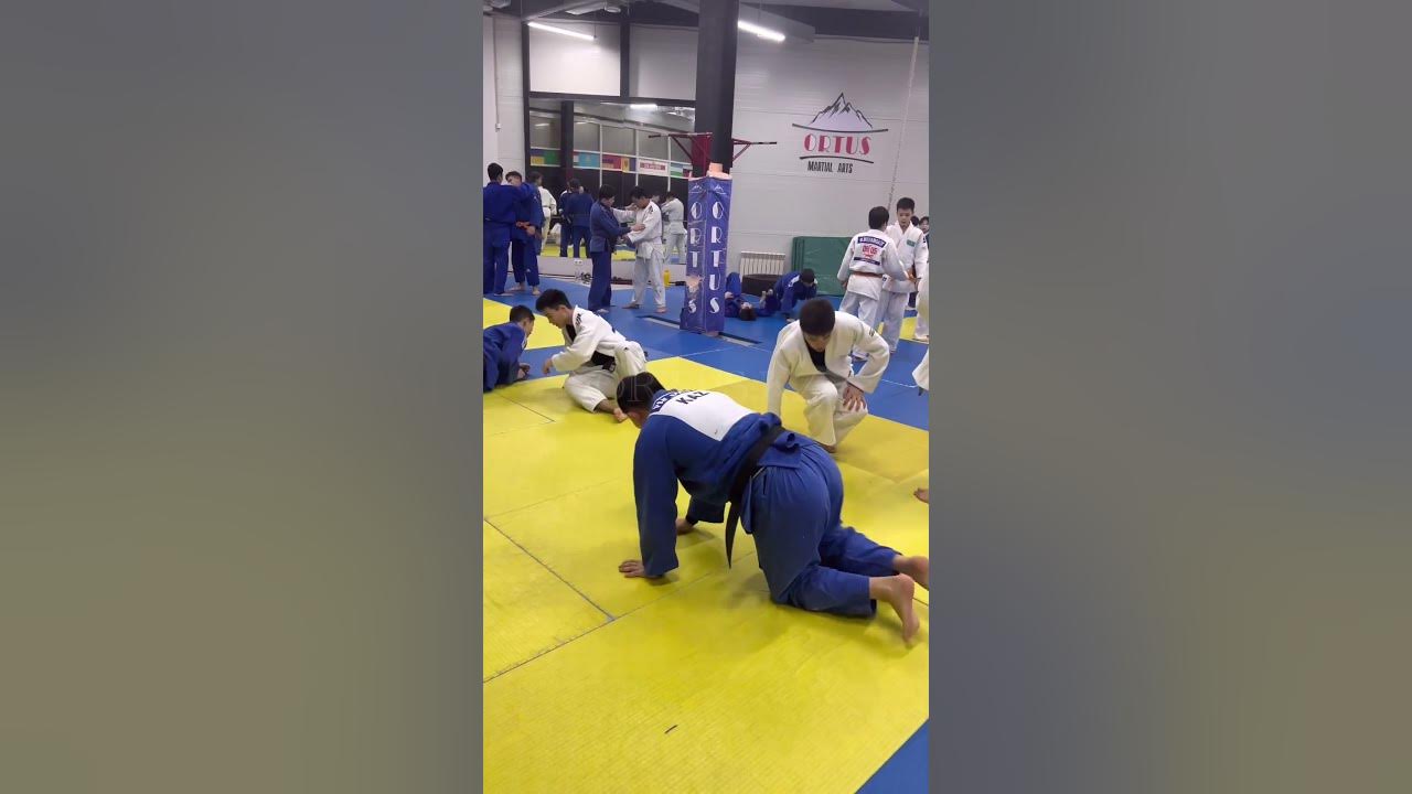 Иппон Сэойнагэ дзюдо