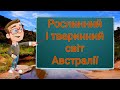 Рослинний і тваринний світ Австралії. Природознавство четвертий клас.