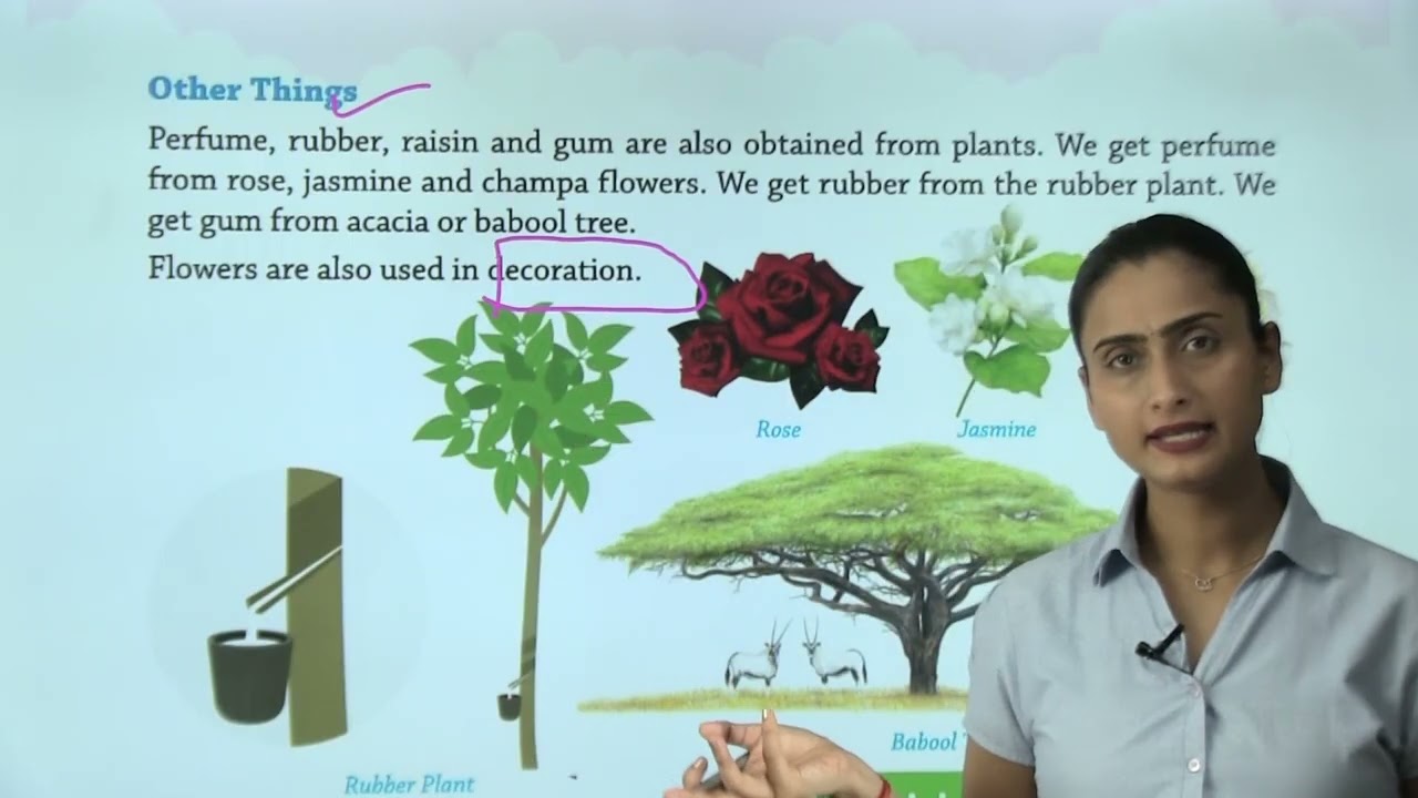 Ch 3 | Plants Provides Us | My Green World | Class 03 | Growing Mind | For children