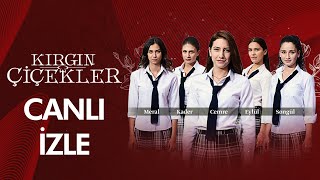 Kırgın Çiçekler | Canlı İzle