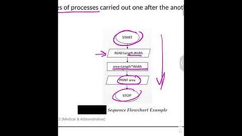 شرح CHAPTER 2:(Introduction to problem solving) للسنة التحضيرية