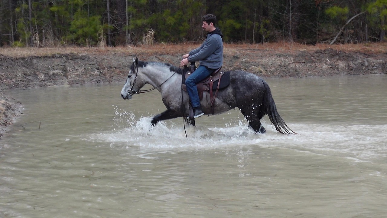 yada longest video trails