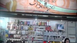 El Arte De La Belleza