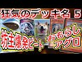 カードゲーム史上、狂気のデッキ名選手権 その5【遊戯王/シャドバ/デュエマ/MTG/ハースストーン 狂気のデッキ名】