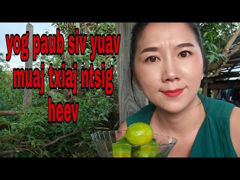 Video: Hais Txog Cov Txiaj Ntsig Muaj Txiaj Ntsig Ntawm Blueberries Thiab Lawv Siv Hauv Tsev