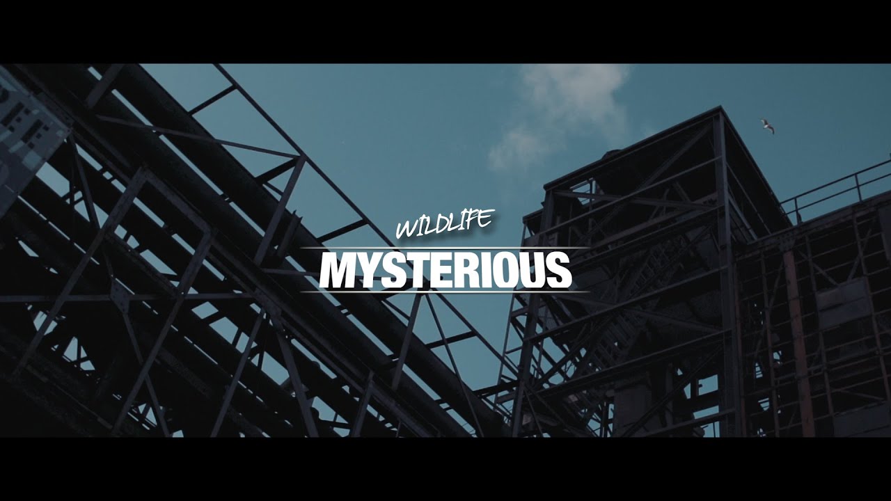 MYSTERIOUS: Wildlife Teaser [07.03.2015]