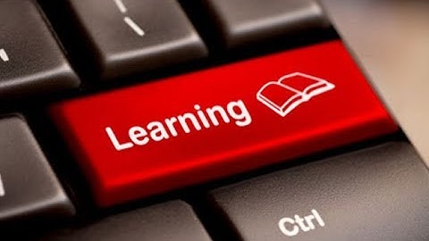 Comparing : Treehouse Vs Linda vs Udemy