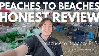 Peaches to Beaches Georgia s Longest Yard Sale 2025 HONEST REVIEW