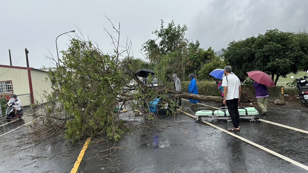 疑颱風連日下雨土石鬆軟　高雄路樹倒塌壓傷2騎士－民視新聞