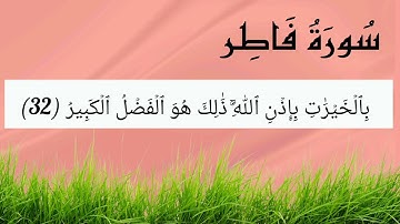 سورة فاطر (29-38) للقارئ إسلام صبحي