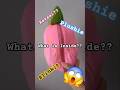 Something cute is hiding… 🥕🤫 #StayTuned#trending#viral#shorts#yt#new#plushie#teaser#blinkit