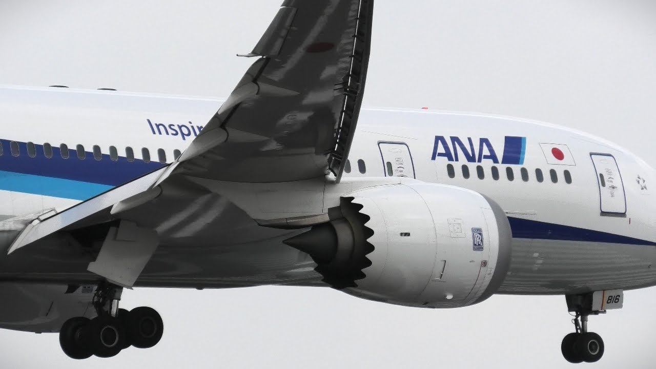 弓なりみたいにたわむ ANA 787-8 逆ラン サークリングアプローチ【 伊丹空港14R 逆ラン 猪名川土手~ 】 - YouTube