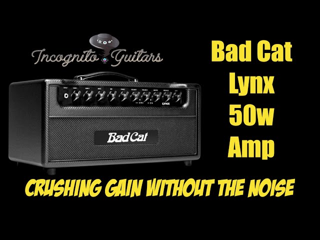 Bad Cat Lynx 50 Watt Amplifier head