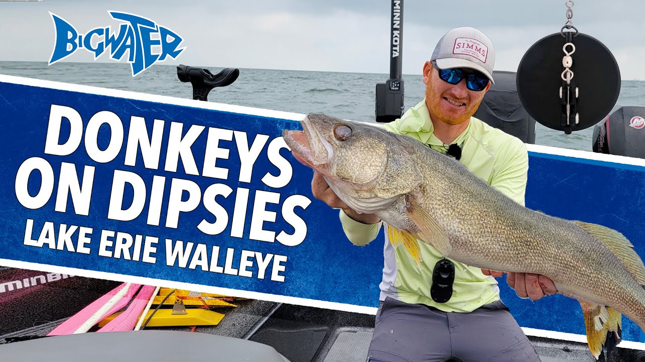 Using Dipsy Divers For Lake Erie Walleye - Ross Robertson