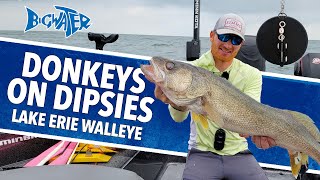 Using Dipsy Divers For Lake Erie Walleye - Ross Robertson - Bigwater Fishing