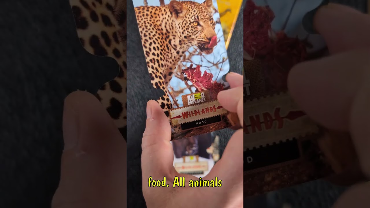 Animal Planet Wildlands - Daily Draw 2026-01-27 #tradingcards #boosterpacks #animals #wildlife