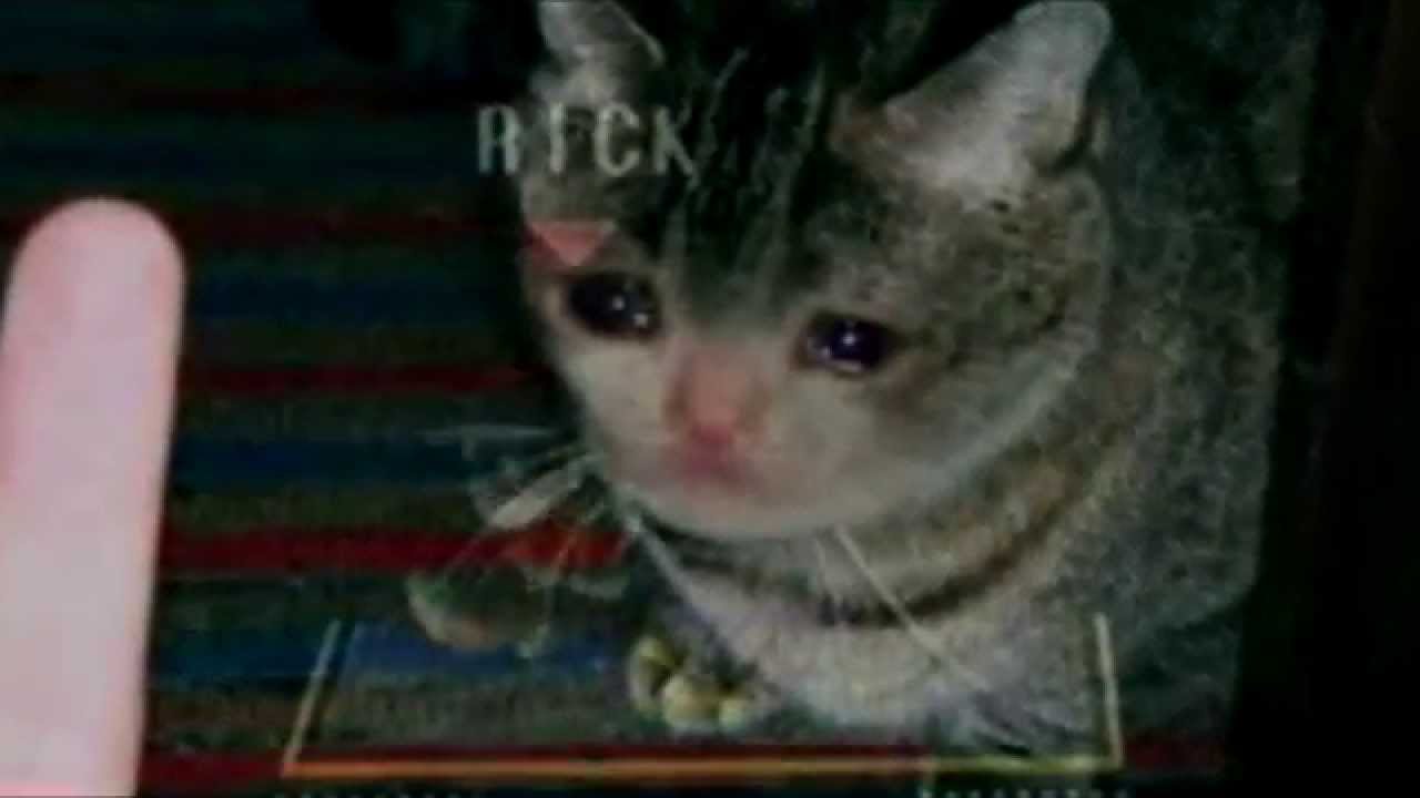 Rick 2 Stock 0-Death | Harshest Bopping NA