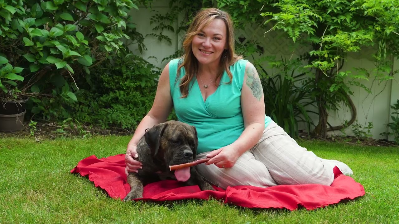 Redbarn Bully Stick Chews 🦴 | Long-Lasting, All-Natural Dog Treats Made in the USA