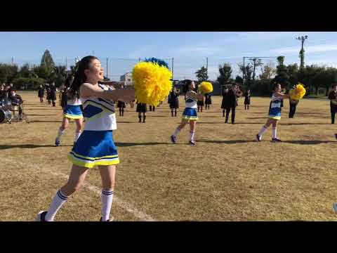 花咲徳栄高等学校吹奏楽部・バトン部・野球応援動画