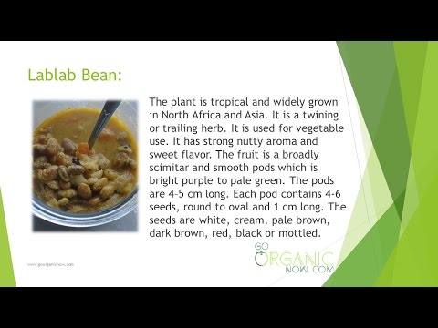 Health Benefits of Lablab Bean