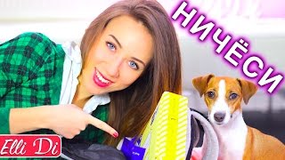 ПОСЫЛКИ ОТ ПОДПИСЧИКОВ - РАСПАКОВКА И МОЯ СОБАКА ДЖИНА - ВЫ ТОЛЬКО ПОСМОТРИТЕ! | Elli Di Pets ПОСЫЛКИ ОТ ПОДПИСЧИКОВ - РАСПАКОВКА И МОЯ СОБАКА ДЖИНА - ВЫ ТОЛЬКО ПОСМОТРИТЕ! | Elli Di Pets