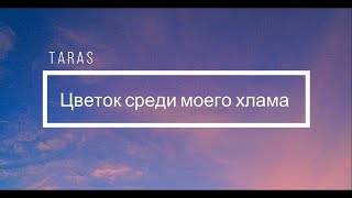 TARAS - Цветок среди моего хлама Текст