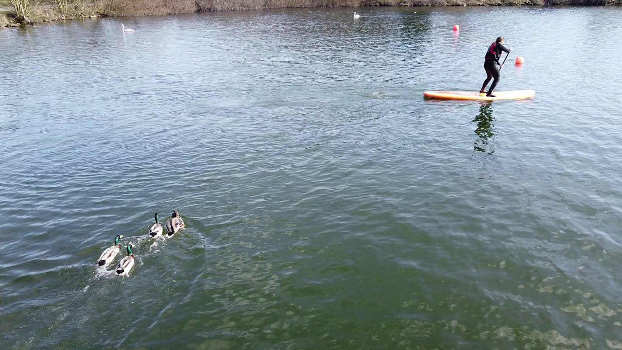 paddle boarding kinghorn loch 4 YouTube