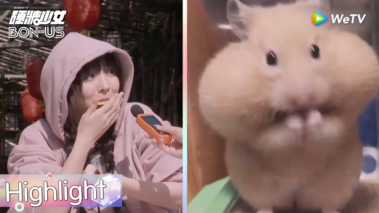 Highlight EP2:เหมือนหนูแฮมสเตอร์เลย | BON-US(ซับไทย) | ดู Full EP ที่ WeTV.vip
