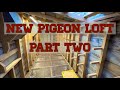 New pigeon loft part two