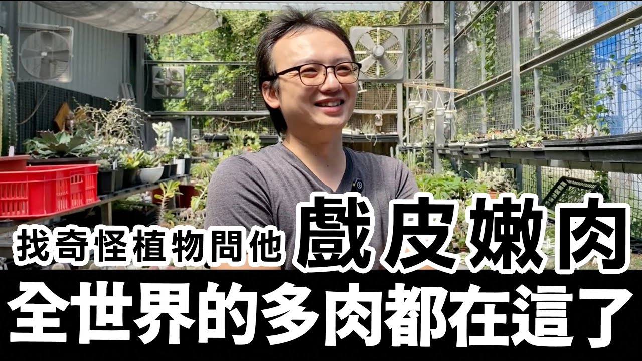 找奇怪的植物、問奇怪的問題！萬能多肉店老闆～戲皮嫩肉多肉花園 #多肉 #仙人掌 #塊根 #龍舌蘭