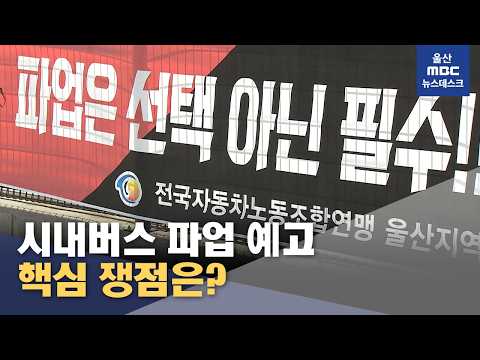 (2026.08.14/뉴스데스크/<strong>울산MBC</strong>)