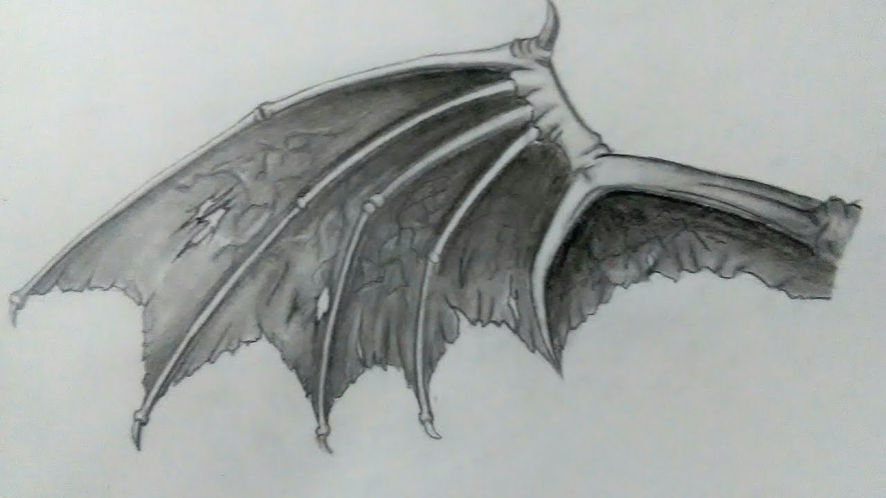 Demon wings  Wings drawing, Anime drawings, Demon drawings