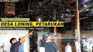 Explore! toko burung Gunawan Solo ~ Desa Loning Petarukan ~ Kab. Pemalang - Jawa Tengah